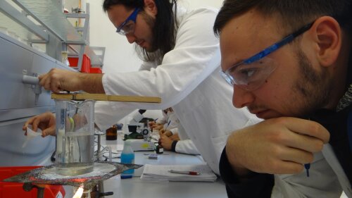 Studierende lernen chemische Schulversuche im Labor kennen