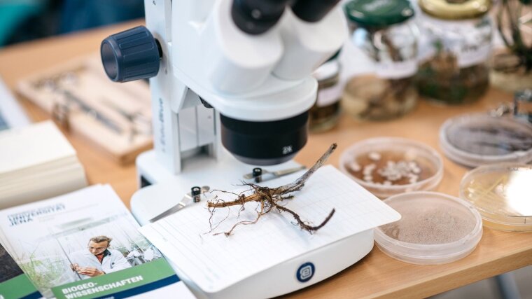 Hochschulinfoitag 2022 - Infostand Biogeowissenschaften