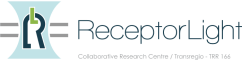 Logo Receptor Light