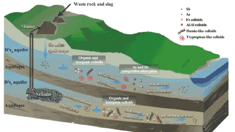 Graphical abstract for the publication