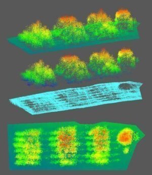 Abb.1: LaserScanning-Aufnahmen (Drohne) vom Testfeld Gessenwiese (Ronneburg) zur Ermittlung der Baumhöhe von Birke, Erle, Weide auf unterschiedlich behandelten Substraten (rot=hohe Bäume; grün=niedriger Baumbestand); oben - Baumhöhe + Geländeoberfläche; Mitte1 - Baumhöhen; Mitte2 – Geländeoberfläche; unten – Aufsicht (Stand 09/2019)