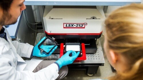 Massenspektrometrie mit dem Induktiv gekoppelten Plasma (ICP-MS); Probenvorbereitung