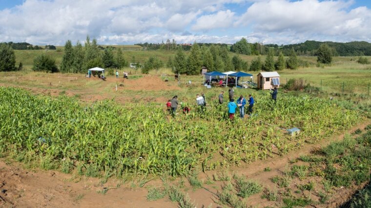 Testfeld im ehemaligen Uranbergbaurevier