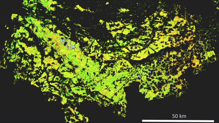 Forested areas of Thuringia - damage categories derived from Sentinel-2  summer 2018 vers summer 2019 (orange & red colors indicate deforested areas)