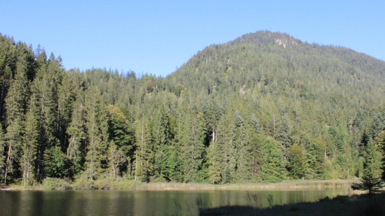 Bichlersee, Rosenheim/Bayern.