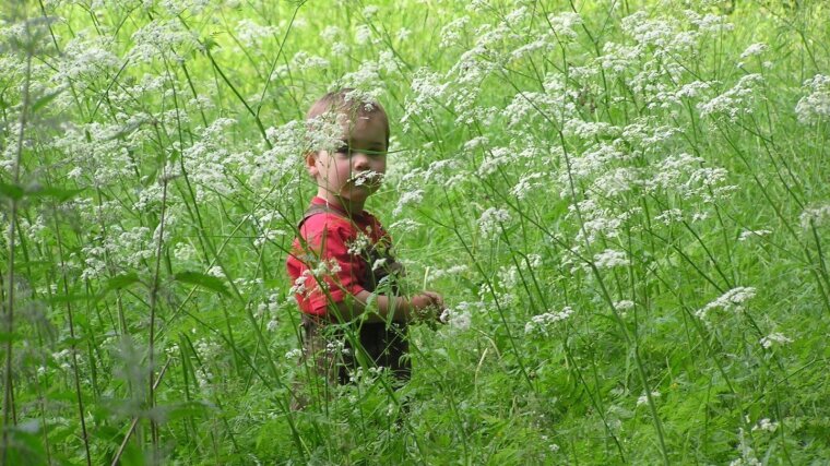 Ein Kind in einer Wiese